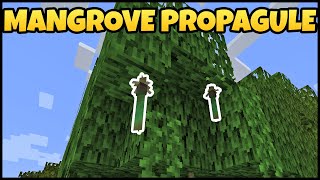 How To Get MANGROVE PROPAGULE In MINECRAFT [upl. by Tris]