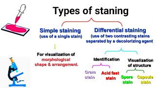 Types of staining  Comman Staning techniques  Part 1 [upl. by Mariken]