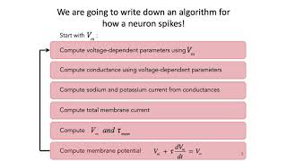 4 HodgkinHuxley Model Part 1  Intro to Neural Computation [upl. by Remled]