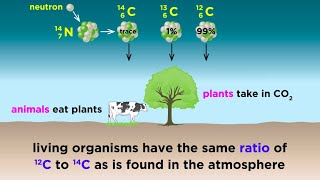 Radiometric Dating Carbon14 and Uranium238 [upl. by Anitnemelc]