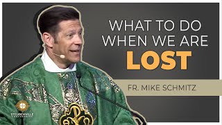 Fr Mike Schmitz  Saturday Homily What To Do When We Are Lost  Steubenville Youth Conference [upl. by Aerdna255]