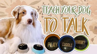 TEACH YOUR DOG TO TALK  Teaching your dog to use buttons [upl. by Doomham]