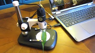 Koolertron USB Digital Microscope  How to Use Microscope [upl. by Todhunter715]