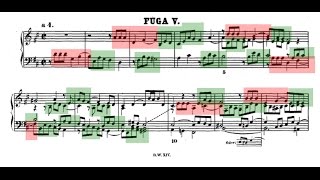 Amazing Counterpoint Analysis of D Major Fugue from Bachs WellTempered Clavier Book II [upl. by Retsel]