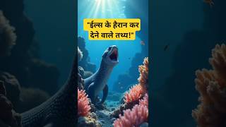 quotShocking Facts About Eelsquottrending eel fishing wildlifeoceanexploration marinemysteries [upl. by Alroy]