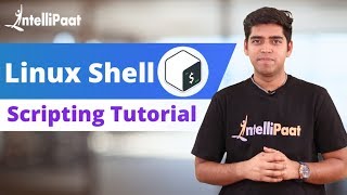 Shell Scripting Tutorial  Linux Tutorial  Shell Scripting Training  Intellipaat [upl. by Ruiz]