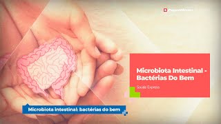 Saúde Express  Microbiota Intestinal  Bactérias Do Bem [upl. by Noella39]