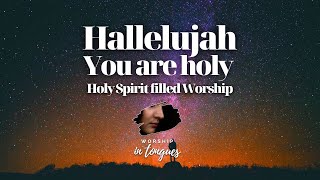 27 MIN WORSHIP SPEAKING IN TONGUES  SPONTANEOUS  ANOINTED  HALLELUJAH YOU ARE HOLY [upl. by Lally]