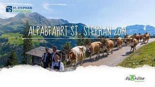 Alpabfahrt St Stephan 2019 [upl. by Ahsenek]