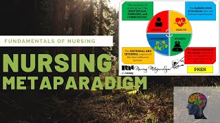 Nursing Metaparadigm  FUNDA [upl. by Ramedlaw]