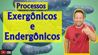 Processos Exergônicos e Endergônicos  Bioenergética  Aula 2 [upl. by Jabez382]