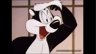 Pepe Le Pews Cousin Pitu Le Pew [upl. by Nohs]