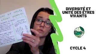 Diversité et unité des êtres vivants  3ème  Madame SVT [upl. by Eneri]