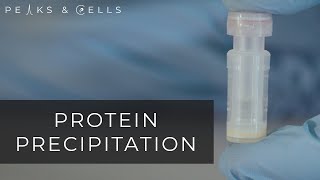 Protein Precipitation UPDATED [upl. by Anihs]