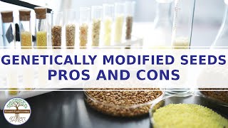 Genetically Modified Seeds Pros and Cons ELearning Video [upl. by Yelnet]