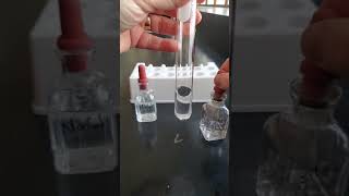 Sodium chloride and silver nitrate [upl. by Auahsoj]