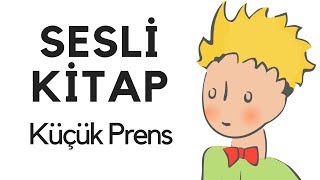 Küçük Prens Sesli Kitap Dinle Oku Tek Parça Masal Abbas Tekin [upl. by Llerrah51]