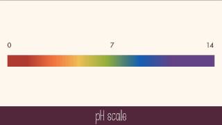 Hydrogen Ions and Acidity [upl. by Chandra]