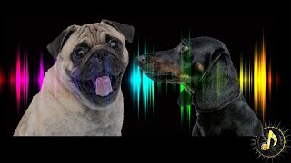 Dogs Barking Sound Effect  Sounds Dogs Love [upl. by Anner119]