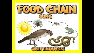 Food Chain song with several examples [upl. by Adnaugal]