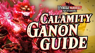 Calamity Ganon Character Guide FULL GUIDE – Hyrule Warriors Age of Calamity Tips amp Tricks [upl. by Tamara]