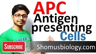 Antigen presenting cells APC [upl. by Nadabus]