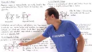 Glycosidic Bonds and Nonreducing Sugars [upl. by Nyvlem]