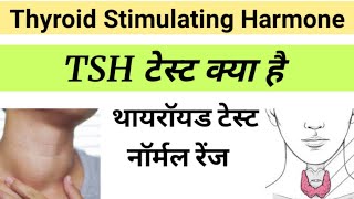 TSH Test in Hindi  Thyroid Stimulating Harmone  tsh report in hindi [upl. by Marelya]