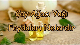 Çay Ağacı Yağı Faydaları Nelerdir [upl. by Aineg]