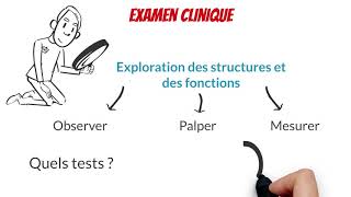 Compétence 1  Établir un diagnostic kinésithérapique [upl. by Schear]