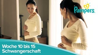 Schwangerschaftswoche 10 bis 15  Anzeichen und Symptome  Pampers [upl. by Jerrilee]