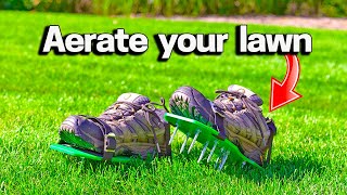 How to Aerate a Small Lawn [upl. by Berga269]