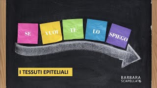 I tessuti epiteliali [upl. by Selin]