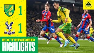 EXTENDED HIGHLIGHTS  Norwich City 11 Crystal Palace [upl. by Hubert]