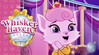 A Dreamyful Birthday  Whisker Haven Tales with the Palace Pets  Disney Junior [upl. by Cristiona59]