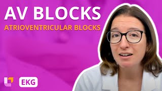 Atrioventricular Blocks AV Blocks  EKG Interpretation  LevelUpRN [upl. by Nylatsyrc779]