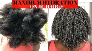 Healthy Journey Series  Maximum Hydration Method on Type 4 Hair [upl. by Lareneg]