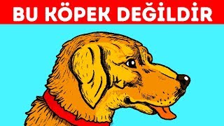 Gözlerinizi Aldatacak 11 Optik İllüzyon [upl. by Cinda896]