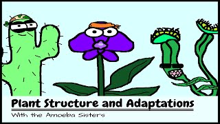 OLD VIDEO Plant Structure and Adaptations [upl. by Xylia]