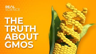 The Truth About GMOs [upl. by Lin]