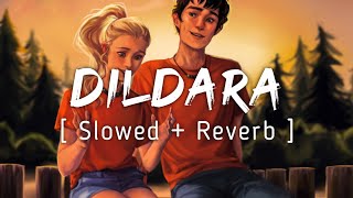 DILDARA  LoFiLyrics  Slowed And Reverb  Music Lyrics [upl. by Binky59]