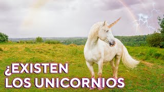 ¿CUAL es el ORIGEN de los UNICORNIOS 1 [upl. by Milo]