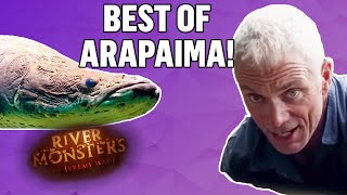 Best Of Arapaima  COMPILATION  River Monsters [upl. by Inger]