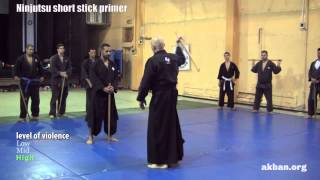 Ninjutsu Stick fighting basics  Hanbo training for the AKBAN wiki [upl. by Ellora]