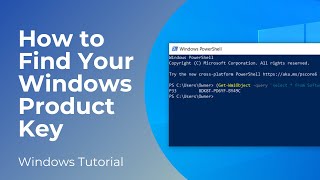 How to Find Your Windows 10 Product Key  Powershell [upl. by Hedgcock]