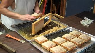 Cutting Comb Honey from the frames Honeybee Comb Honey [upl. by Enra]