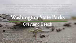 Grayland Beach State Park [upl. by Alrrats]