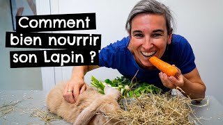 Comment bien nourrir son Lapin  🐰 [upl. by Massingill]