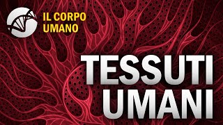 Tessuti Umani  Il Corpo Umano [upl. by Stieglitz319]