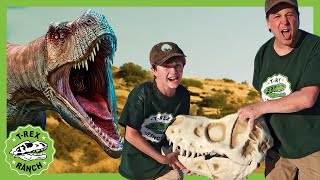 Dinosaur Adventure in the Desert  TRex Ranch 40 MINS of Kids Videos [upl. by Sally]